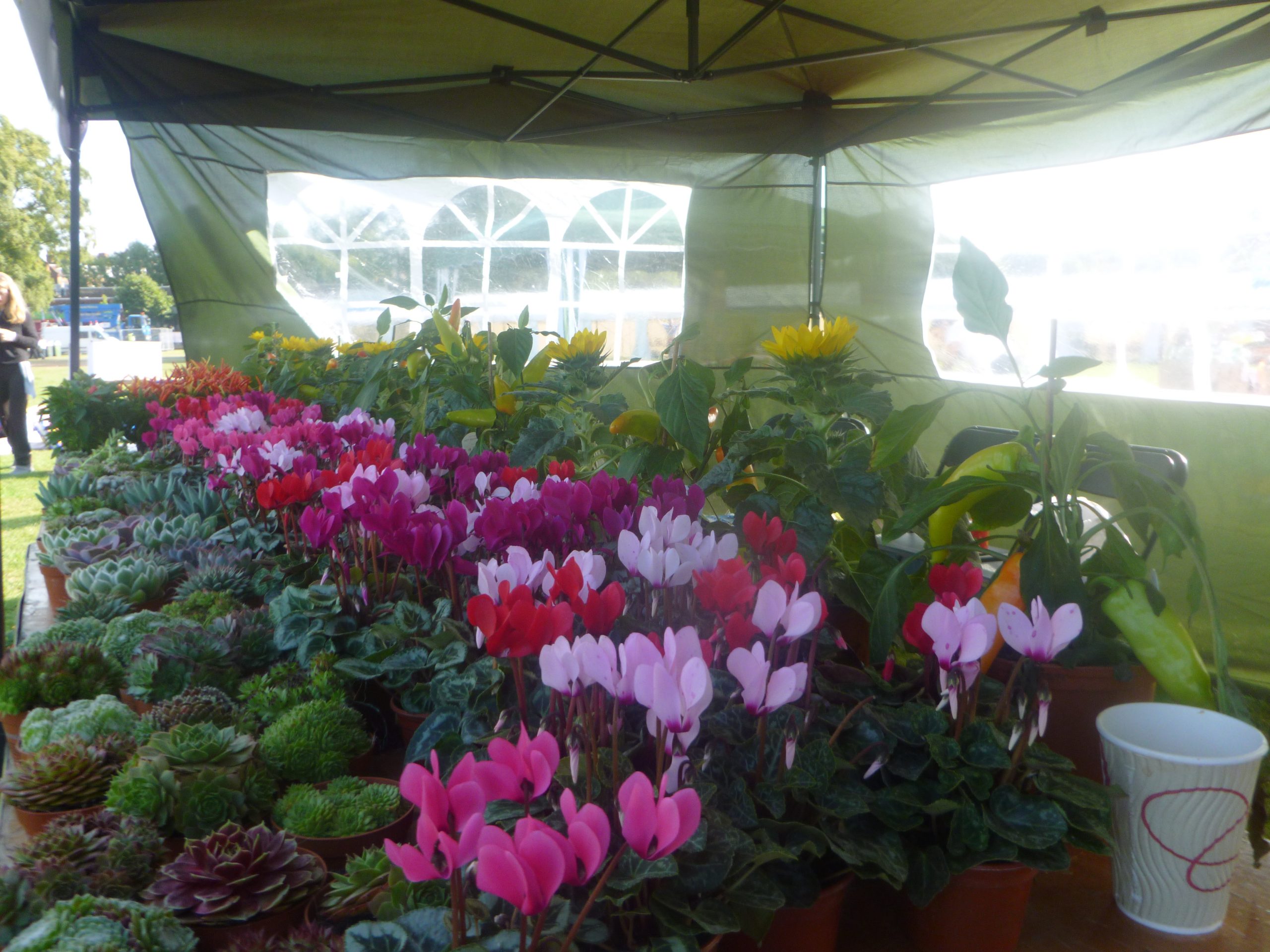 Our flower stall