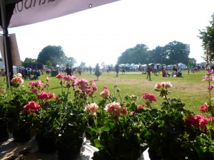 so hot at the Lambeth Country Show