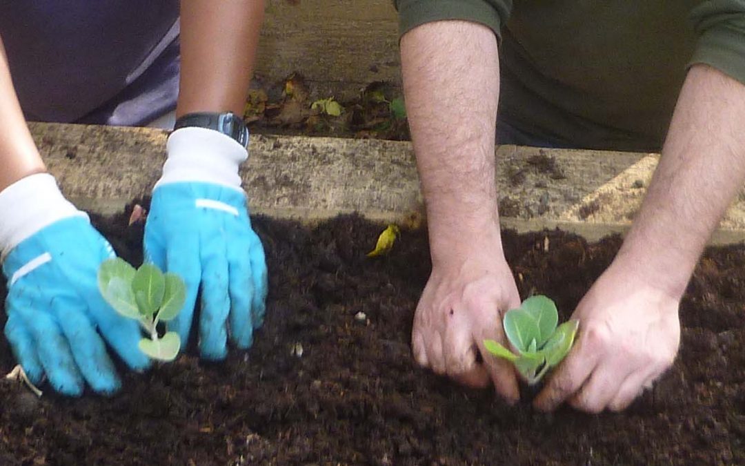 Norwood Fun Palace – Sunday Oct 5th