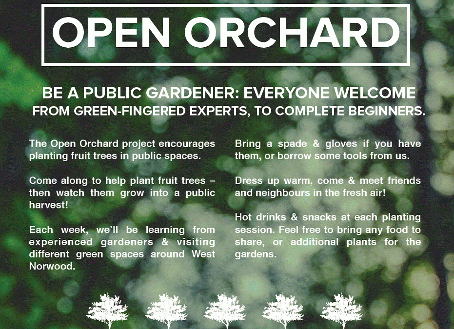Open Orchard 12th February