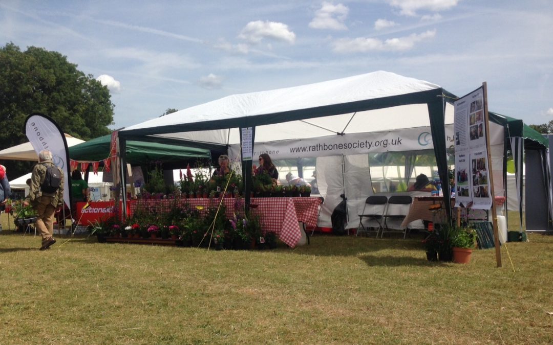 Lambeth Country Show 2015