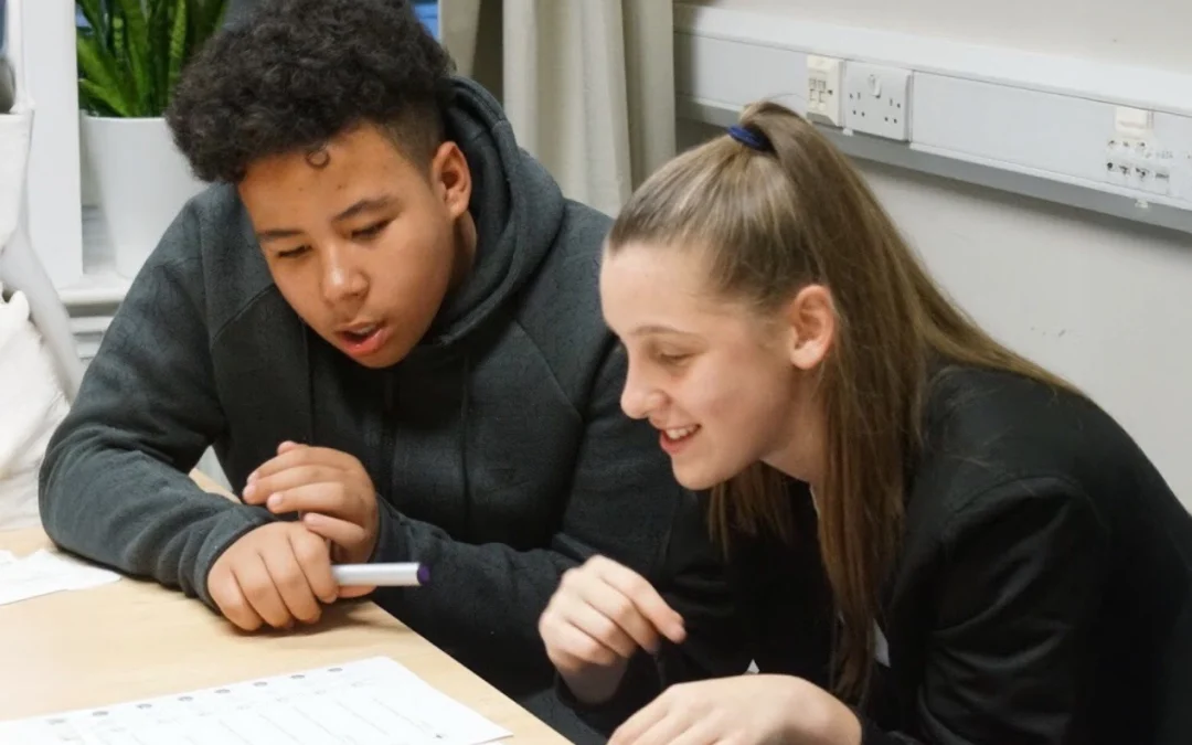 Volunteer Leaning Mentor